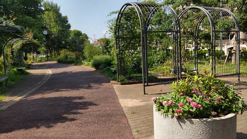 花壇 川崎市幸区さいわいふるさと公園