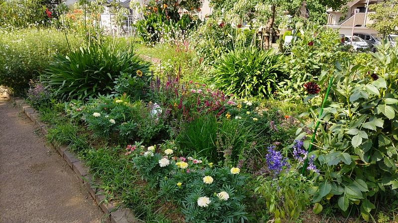 花壇 川崎市幸区さいわいふるさと公園