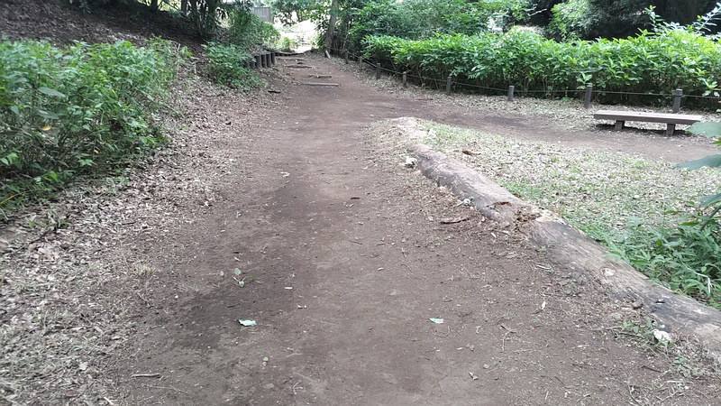 除草跡 横浜市旭区希望が丘水の森公園