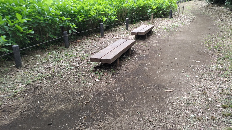 除草跡 横浜市旭区希望が丘水の森公園