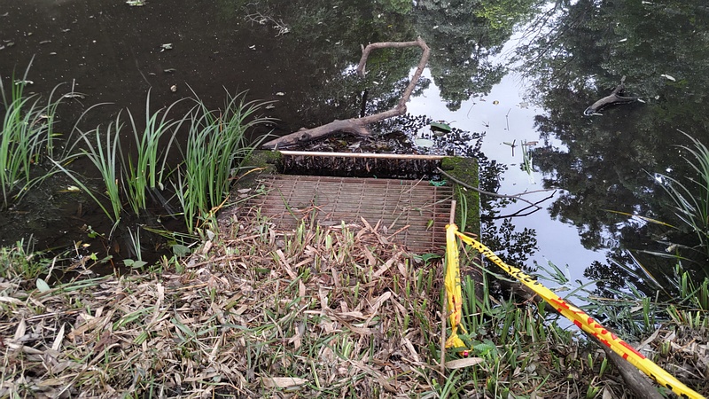 遊水地の排水口 横浜市旭区希望が丘水の森公園