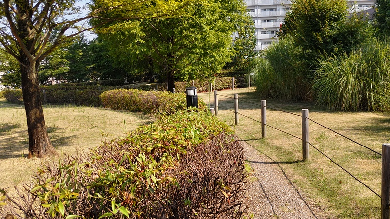 創造のもり 川崎市幸区創造のもり