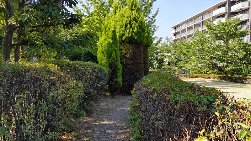 創造のもり 川崎市幸区創造のもり