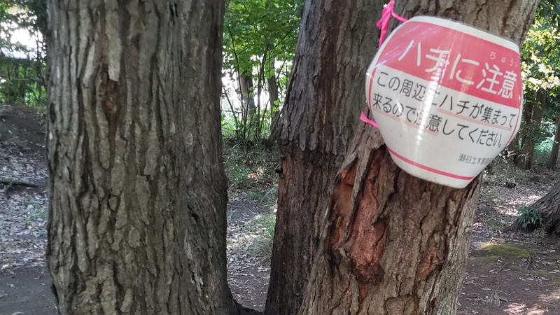 ハチに注意の掲示 横浜市瀬谷区長屋門公園