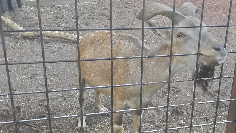 マーコール 川崎市幸区夢見ヶ崎公園