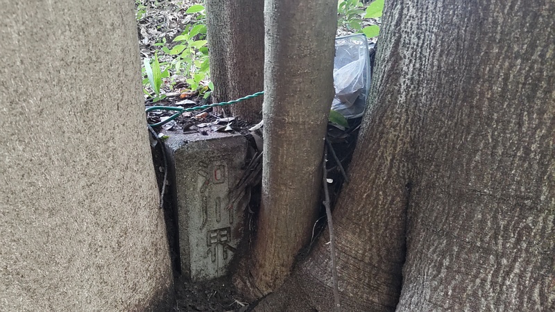 河川界 横浜市旭区帷子川親水緑道