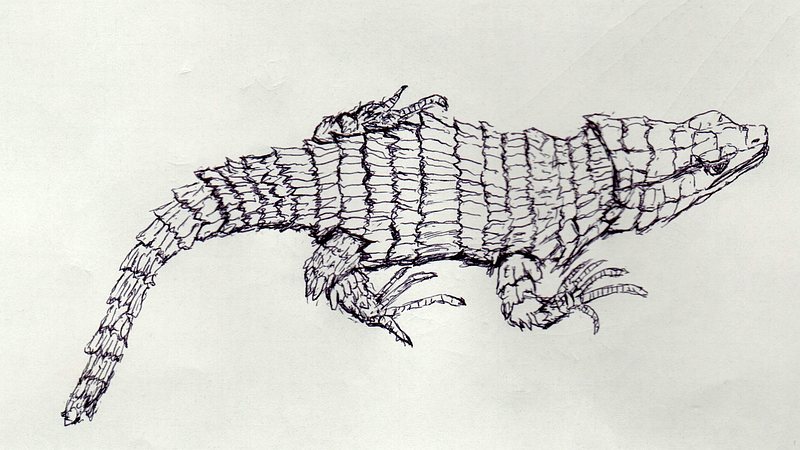 スケッチの練習 川崎市幸区