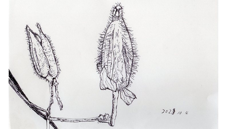 スケッチの練習 川崎市幸区