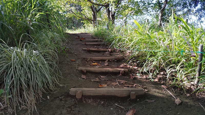 さいわいふるさと公園 川崎市幸区さいわいふるさと公園