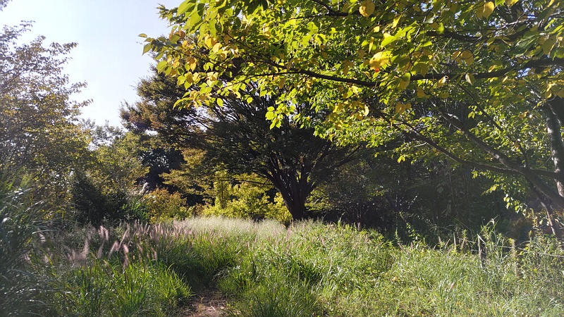 さいわいふるさと公園 川崎市幸区さいわいふるさと公園
