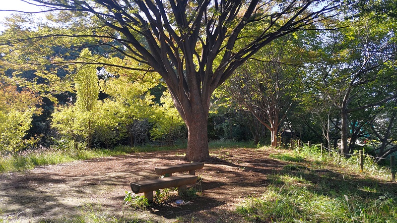 さいわいふるさと公園 川崎市幸区さいわいふるさと公園