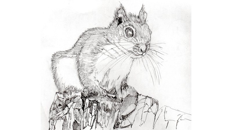 スケッチの練習 川崎市幸区