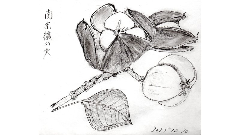 スケッチの練習 川崎市幸区