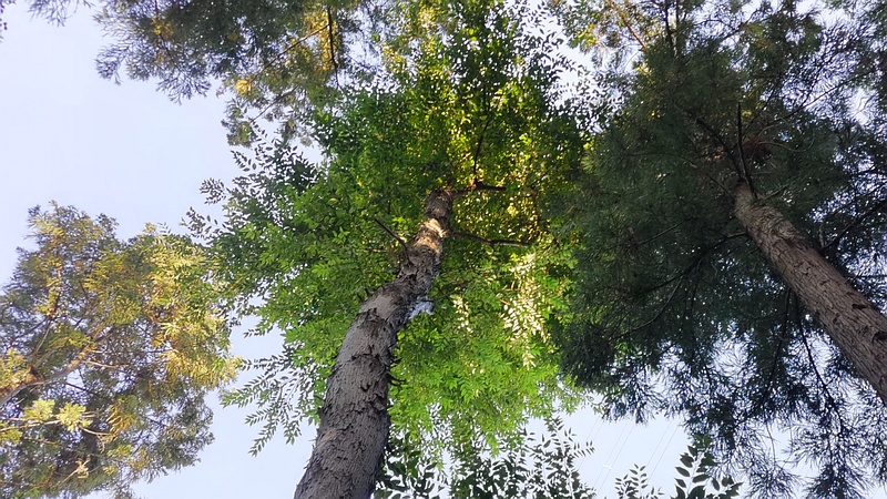 アサダ 横浜市瀬谷区長屋門公園