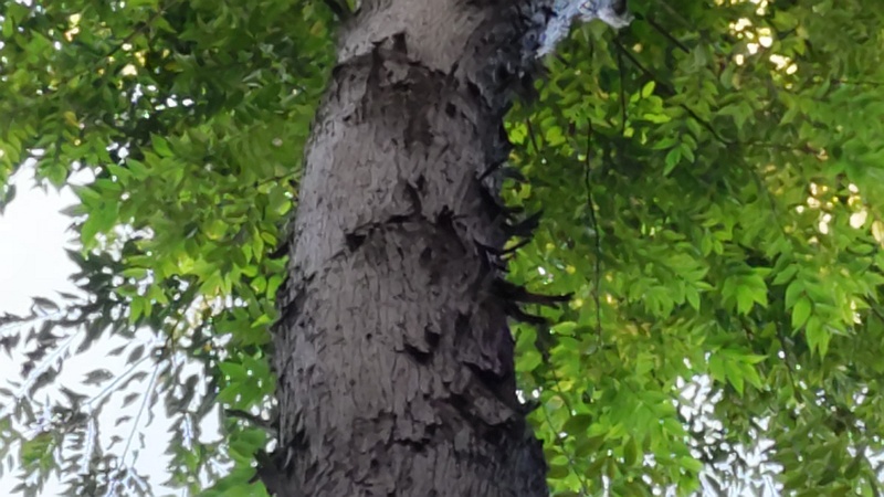 アサダ 横浜市瀬谷区長屋門公園
