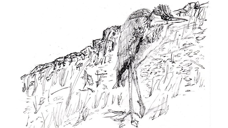 スケッチの練習 川崎市幸区