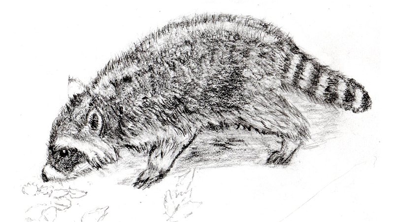 スケッチの練習 川崎市幸区