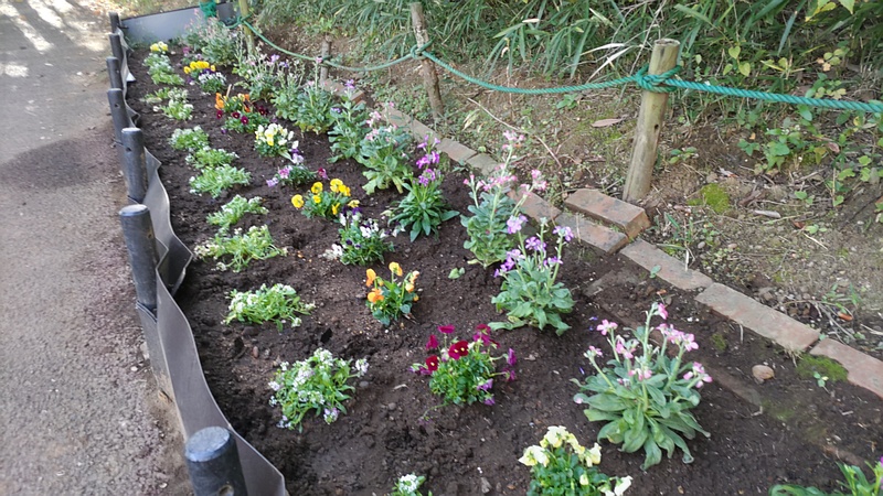 花壇 川崎市幸区さいわいふるさと公園