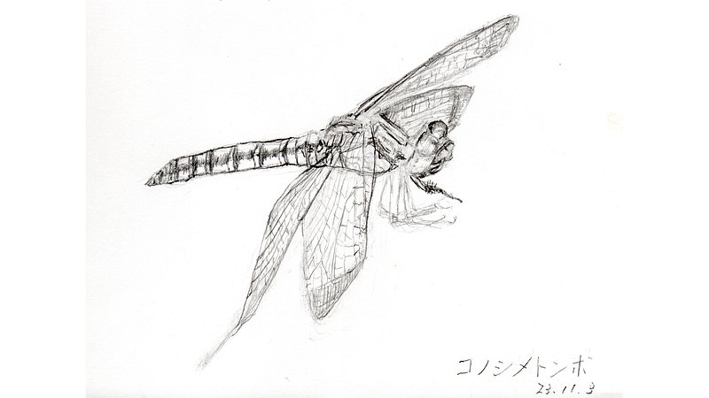 スケッチの練習 川崎市幸区