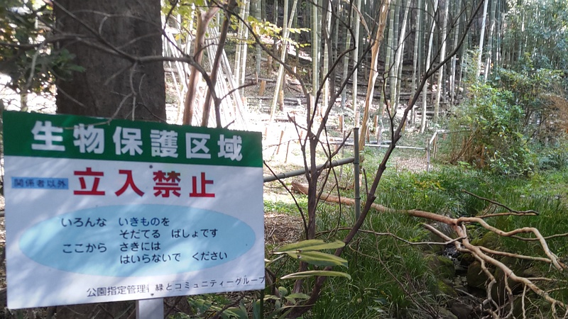生物保護区域 横浜市旭区今川町今川公園