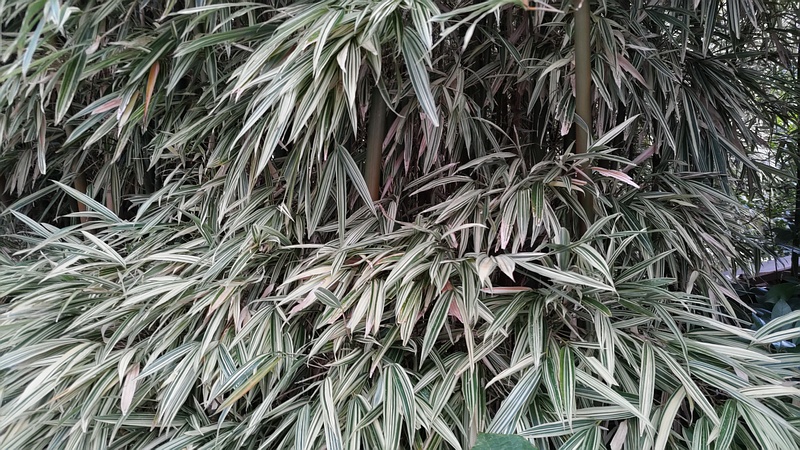 トウチク 横浜市旭区今宿南町