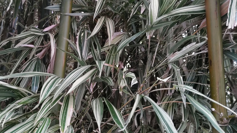 トウチク 横浜市旭区今宿南町