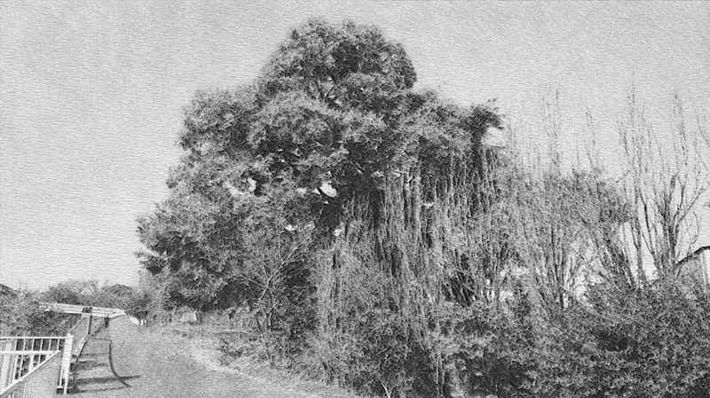 スケッチの練習 川崎市幸区