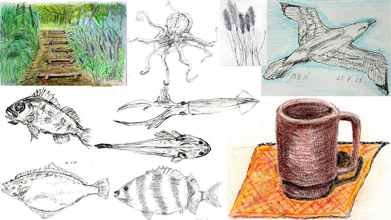 スケッチの練習 川崎市幸区