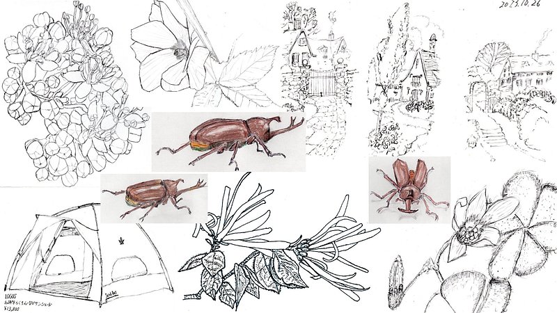 スケッチの練習 川崎市幸区