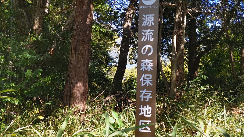 源流の森保存地区 横浜市旭区今川町今川公園