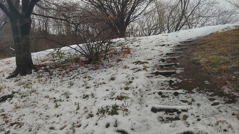 雪景色 川崎市幸区さいわいふるさと公園