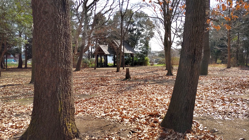 瀬谷貉窪公園 横浜市瀬谷区瀬谷貉窪公園