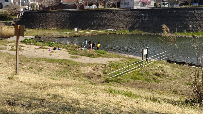 和泉川宮沢遊水地 横浜市瀬谷区宮沢