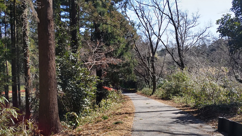 南側遊歩道 横浜市旭区大池町こども自然公園