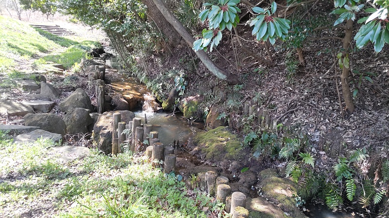 大池公園草地広場の小川 横浜市旭区大池町こども自然公園