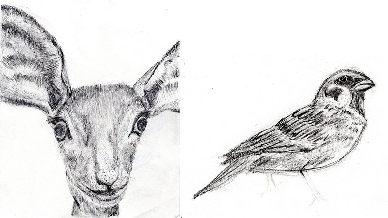 スケッチの練習 川崎市幸区