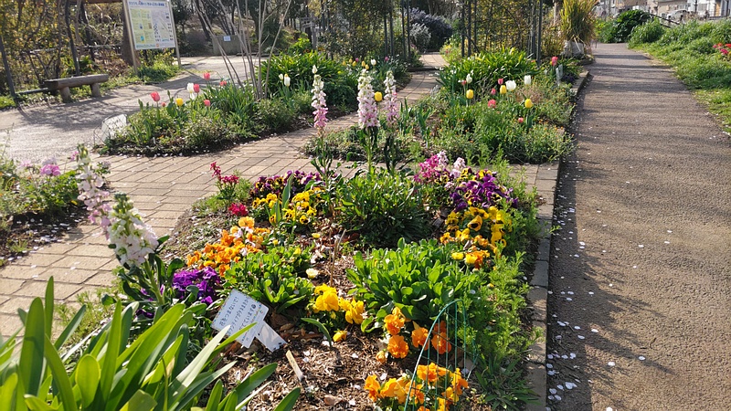 花壇 川崎市幸区さいわいふるさと公園