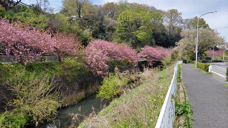 カンザン 横浜市旭区今宿南町