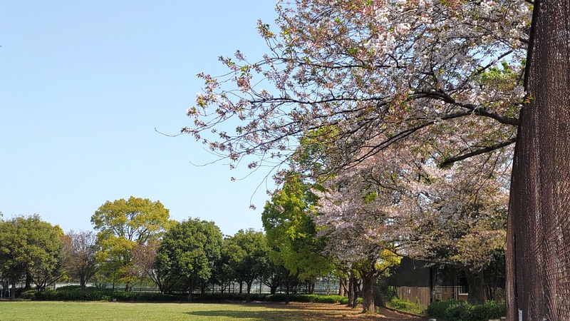 今川公園グラウンド 横浜市旭区今川町今川公園