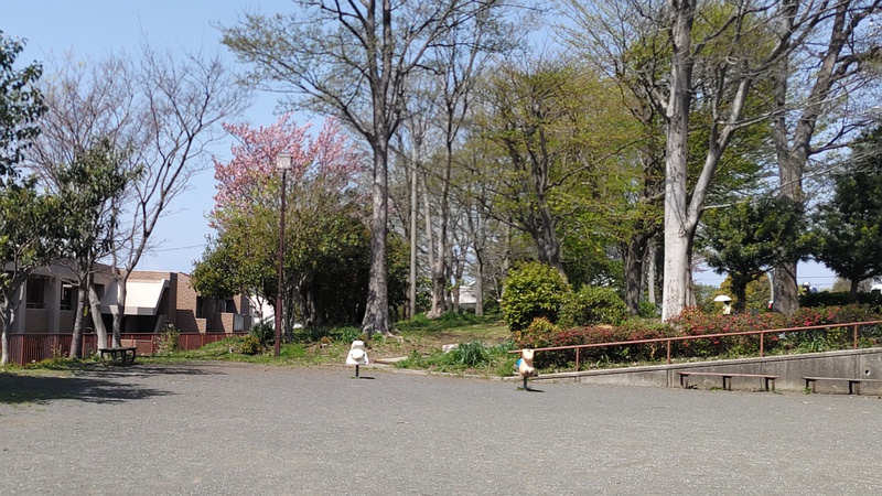 清水ヶ丘公園 横浜市旭区中沢町清水ヶ丘公園