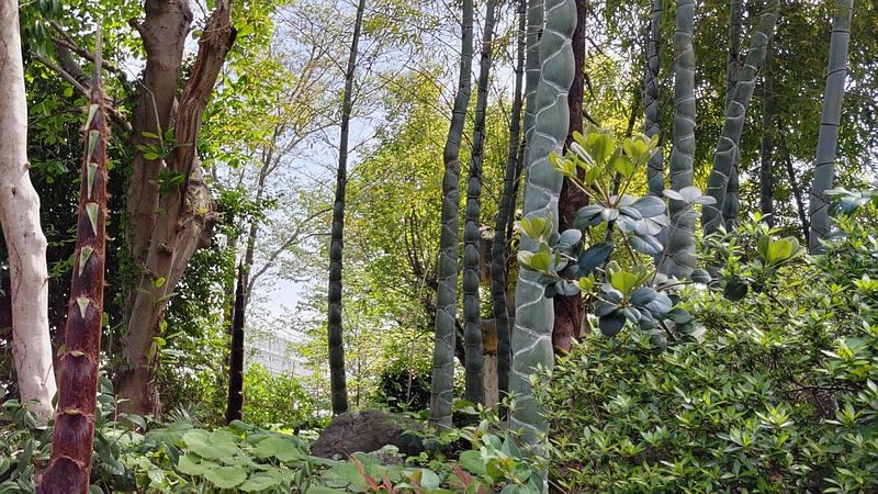 キッコウチク 横浜市旭区中希望が丘