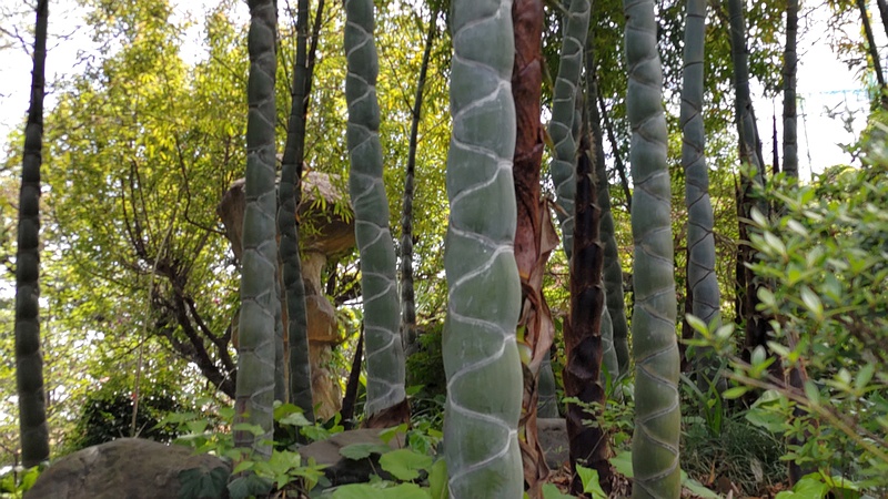 キッコウチク 横浜市旭区中希望が丘