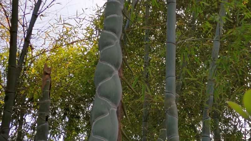 キッコウチク 横浜市旭区中希望が丘