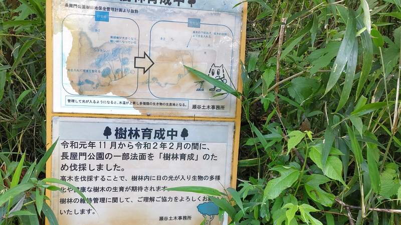 樹林育成中の掲示 横浜市瀬谷区長屋門公園