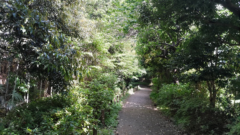 帷子川親水緑道 横浜市旭区帷子川親水緑道
