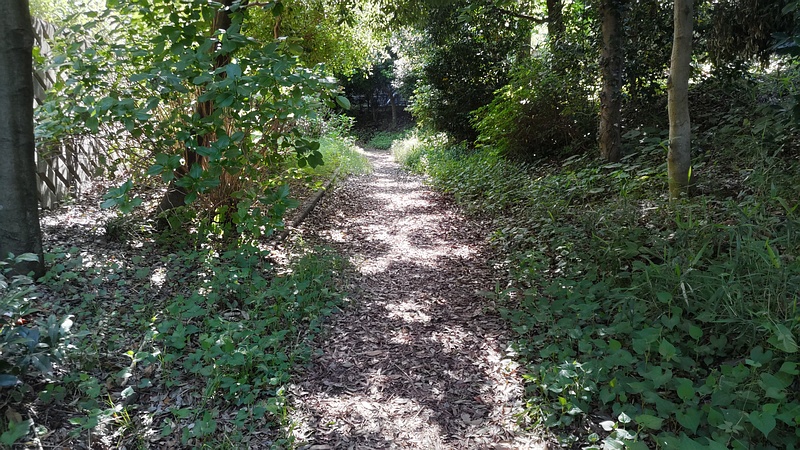 帷子川旧川 横浜市旭区今宿東町