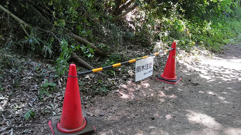 倒木撤去後 横浜市瀬谷区長屋門公園