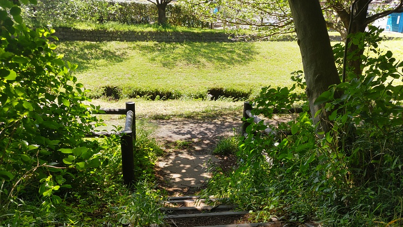 東山ふれあい樹林 横浜市瀬谷区阿久和西