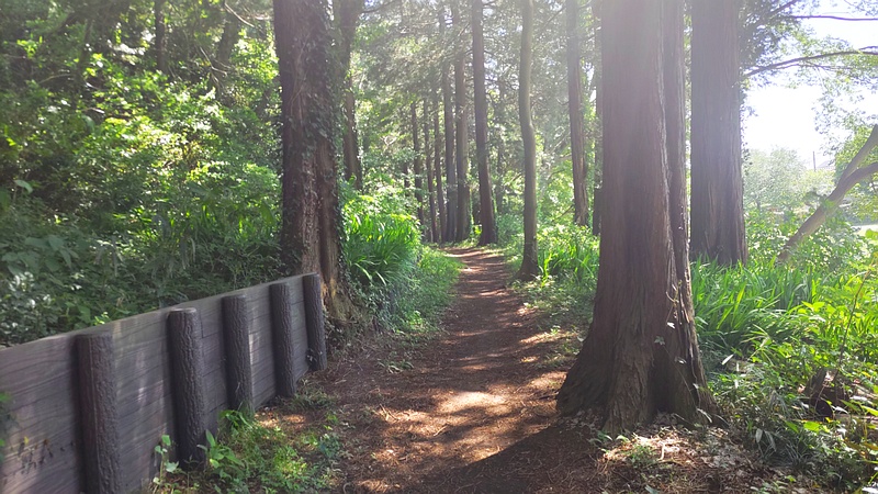 東山ふれあい樹林 横浜市瀬谷区阿久和西