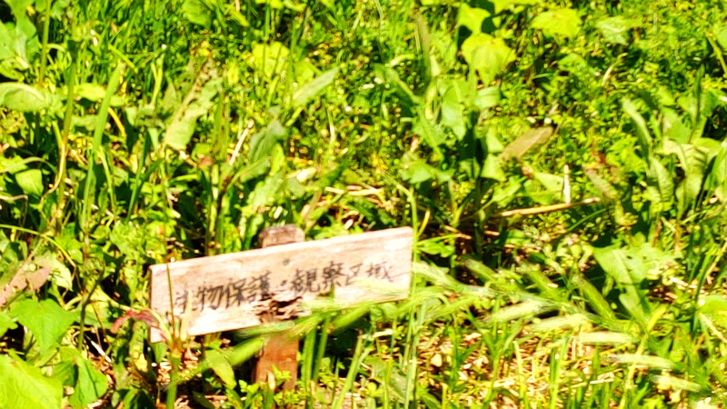 生物保護・観察区域の掲示 横浜市瀬谷区宮沢